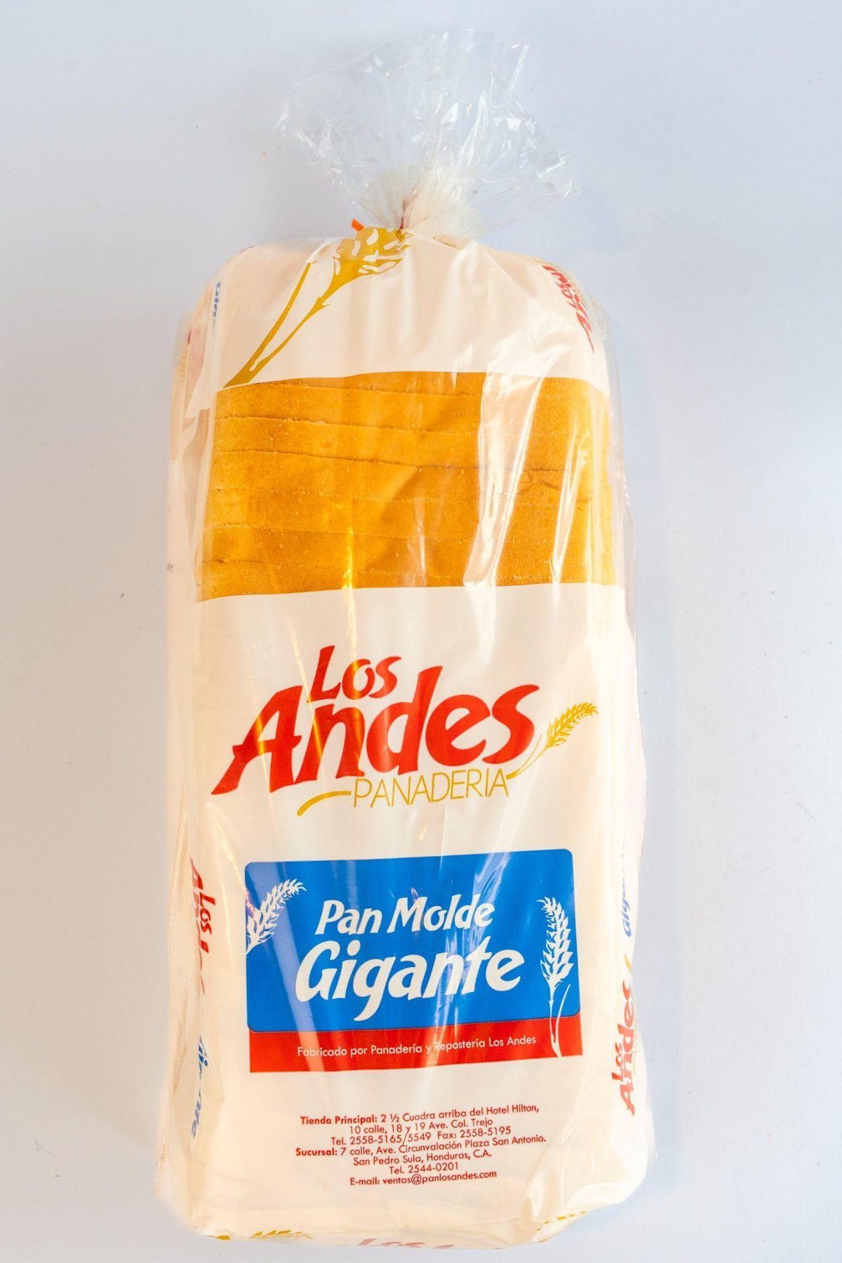 Molde Gigante